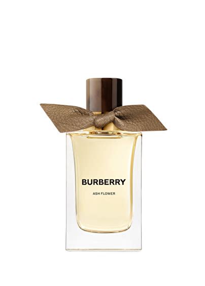 beymen burberry|burberry signatures for men.